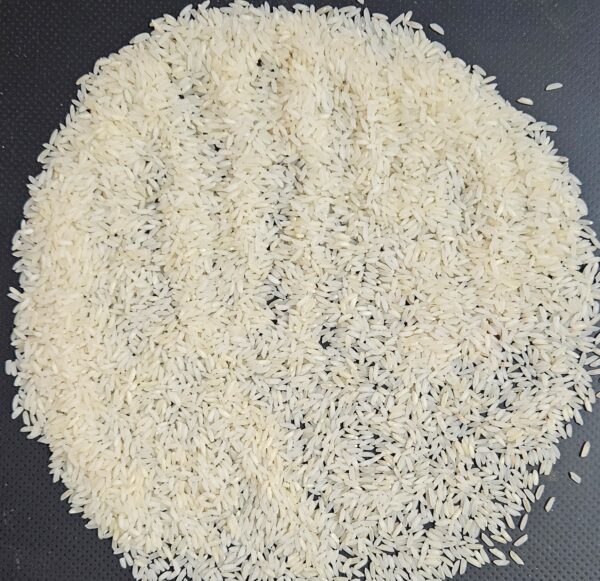 20260208_160502 Nandyal Sona Masoori Raw Rice (NDLR-7)